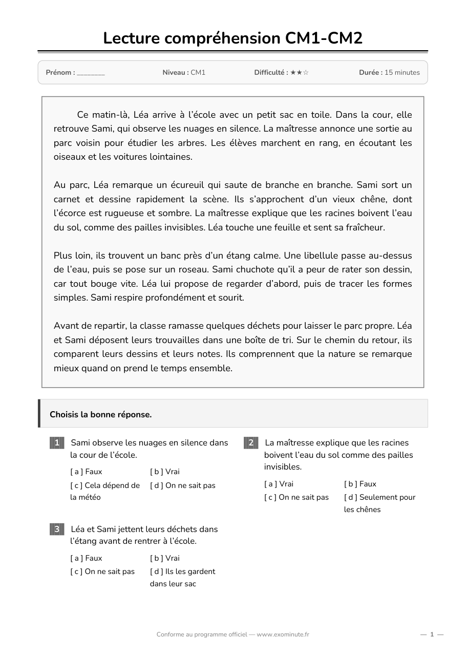 Aperçu de la fiche CM1