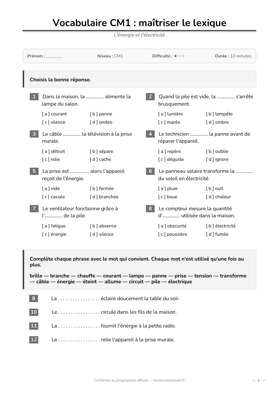 Aperçu de la fiche CM1