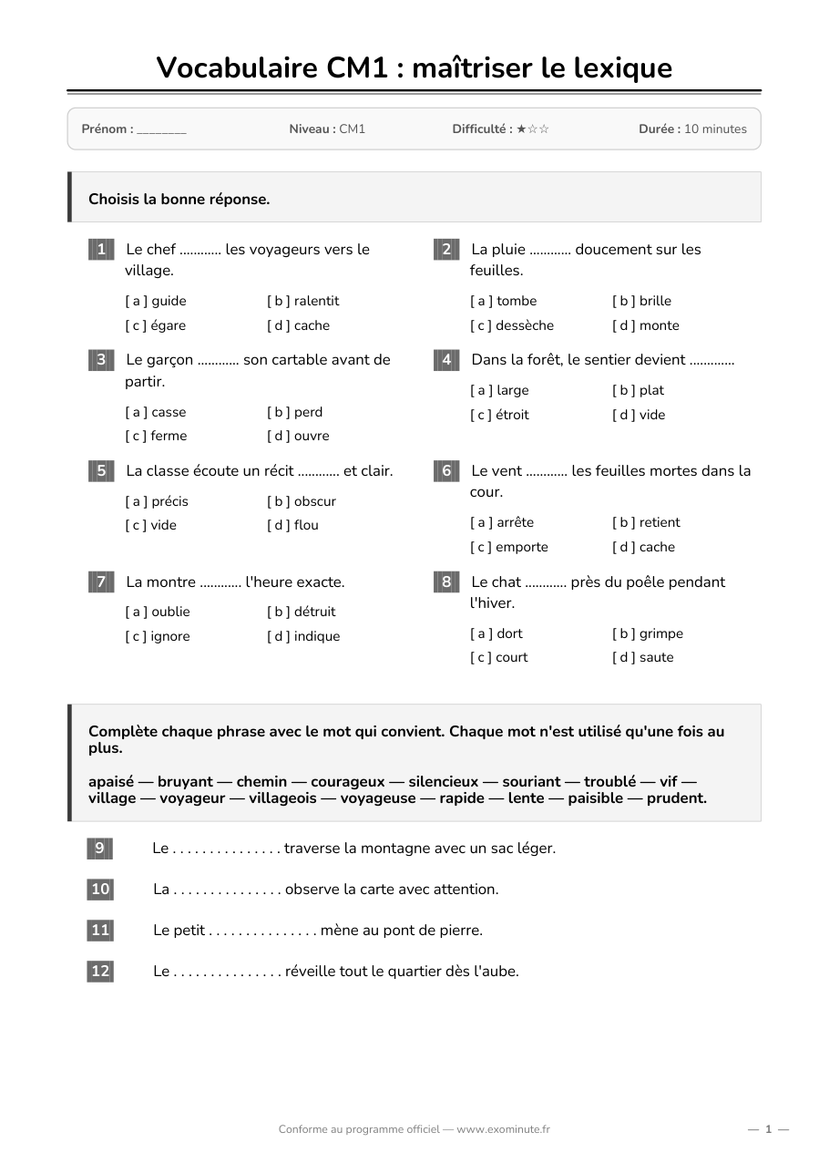 Aperçu de la fiche CM1