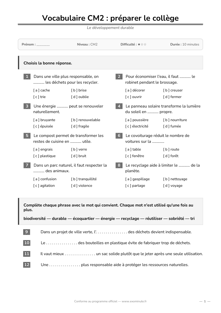 Aperçu de la fiche CM2